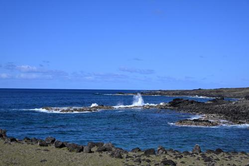 DSC 2021r
