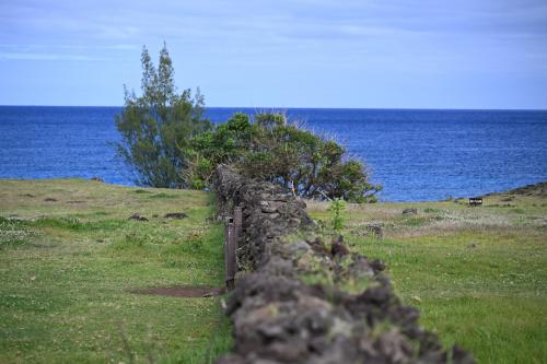 DSC 4337r