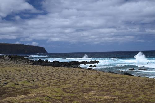 DSC 4392r