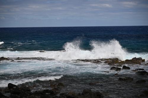 DSC 4455r